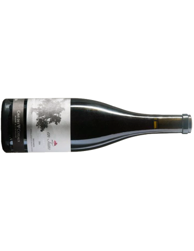 EN TSANO | Pinot Noir - 0.75 L EN TSANO | Pinot Noir - 0.75 L
