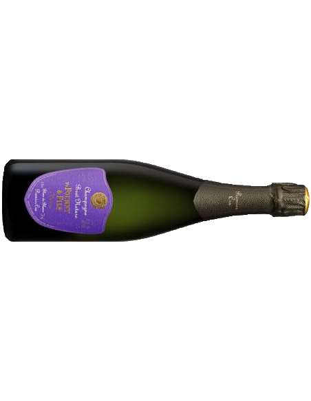 VVE FOURNY | Brut Nature - 0.75 L