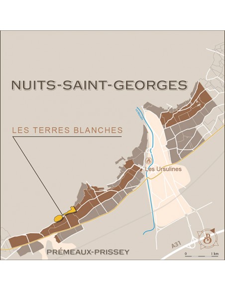 BOISSET | Nuit-Saint-Gerorges 1er Cru - 0.75 L 21