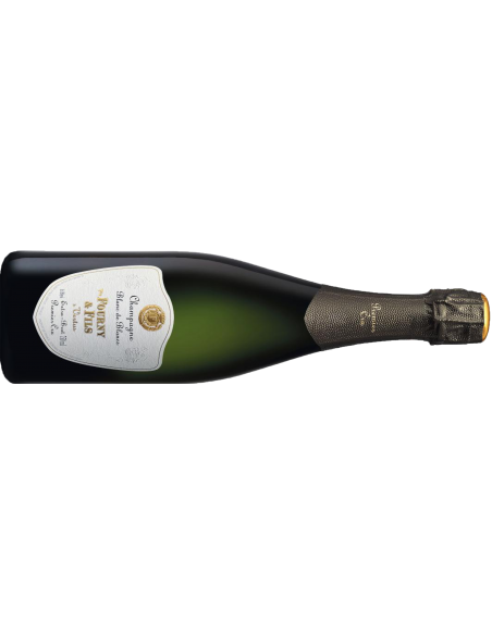 VVE FOURNY | Blanc de Blancs 1er Cru - 0.75 L
