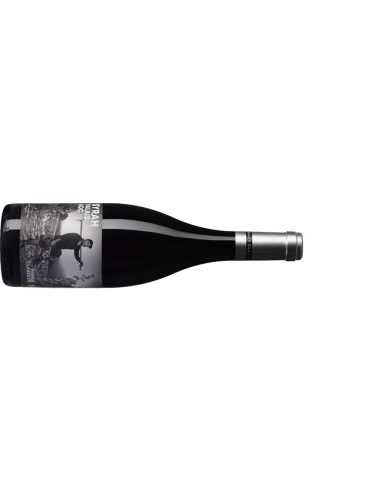 PRIMUS CLASSICUS | Syrah - 0.50 L