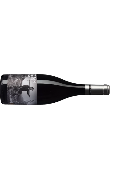 PRIMUS CLASSICUS | Syrah - 0.50 L