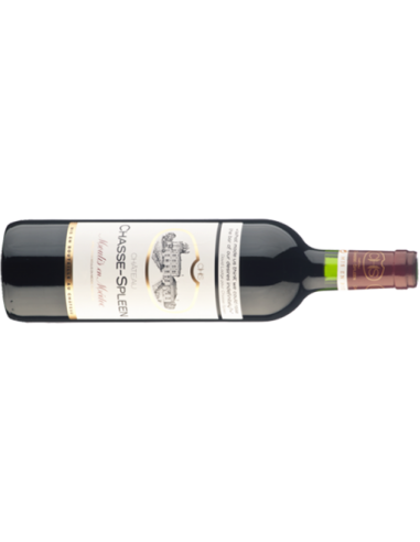 Château CHASSE SPLEEN - 0.75 L 2020 Moulis AOP Cru Bourgeois exceptionnel Château CHASSE SPLEEN - 0.75 L 2020 Moulis AOP Cru Bourgeois exceptionnel