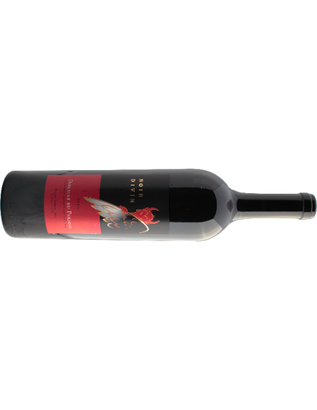 PARADIS | NOIR DIVIN - 0.75 L PARADIS | NOIR DIVIN - 0.75 L