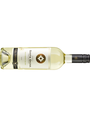 Santa Digna Sauvignon Blanc Miguel Santa Digna Sauvignon Blanc Miguel