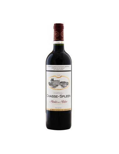 Château CHASSE SPLEEN - 0.75 L 2025
