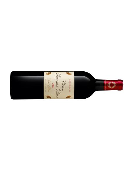 CHATEAU BRANAIRE DUCRU - 0.75 L 2025