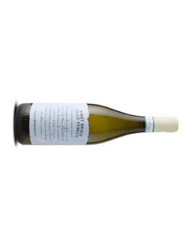 PASQUA | Pinot Grigio Handwritten 0.75 L 2025