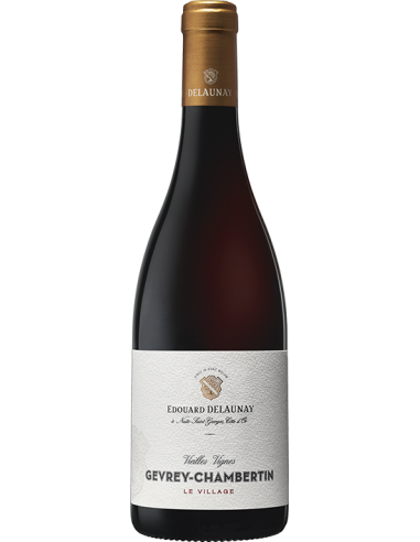 DELAUNAY | Gevrey Chambertin - 0.75 L - 2022