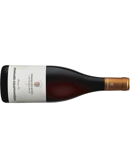 DELAUNAY | Pommard 1er Cru AOC, 0.75 L - 2021