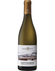 DELAUNAY | SEPTEMBRE Pinot Noir - 0.75 L