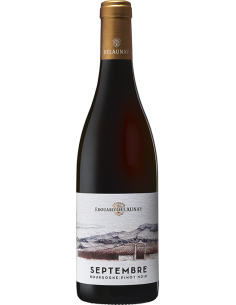 DELAUNAY | SEPTEMBRE Chardonny - 0.75 L