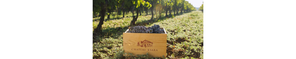Vins du Liban | Château Ksara
