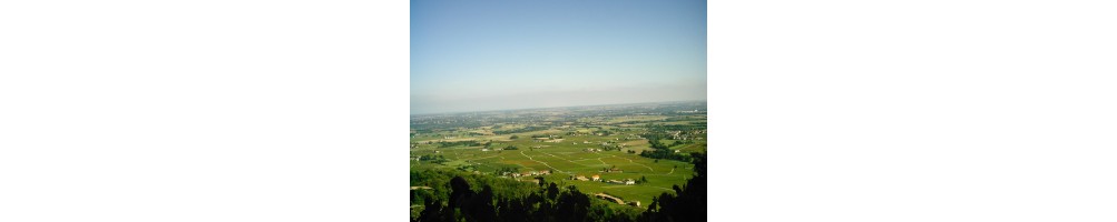 Vins du Beaujolais