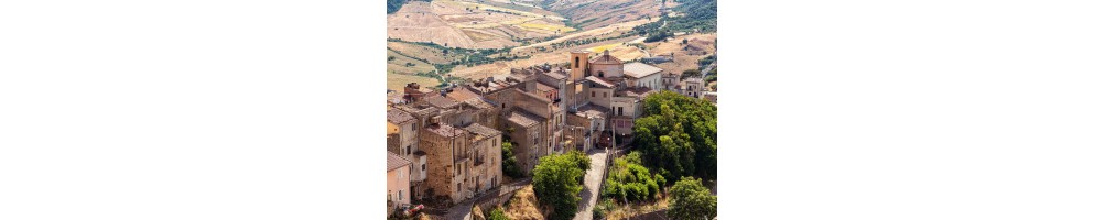 Vins de la Sicile