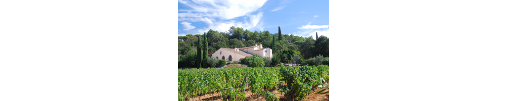 Vins de la Côtes de Provence