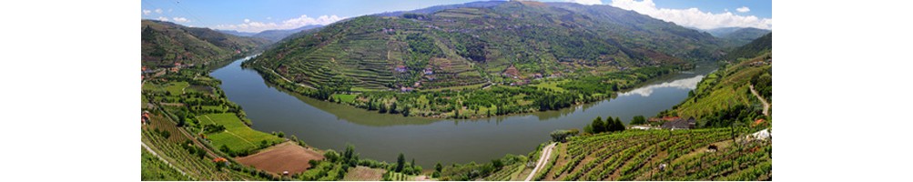 Vins du Portugal