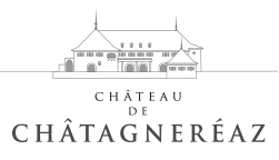 Château de Châtagnereaz